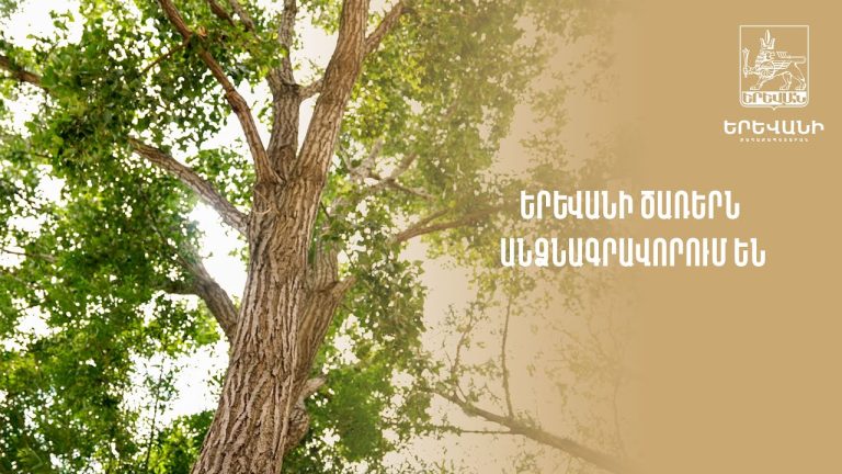 Երևանի ձնամաքրման աշխատանքների ընթացքը և առաջացած խնդիրները