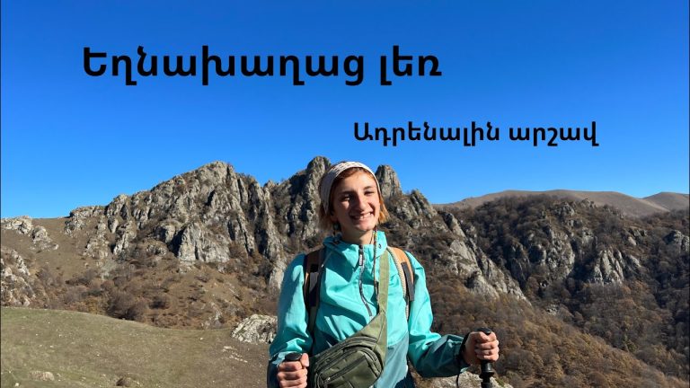 Լոռու մարզում տեղի ունեցած դեպքի առթիվ