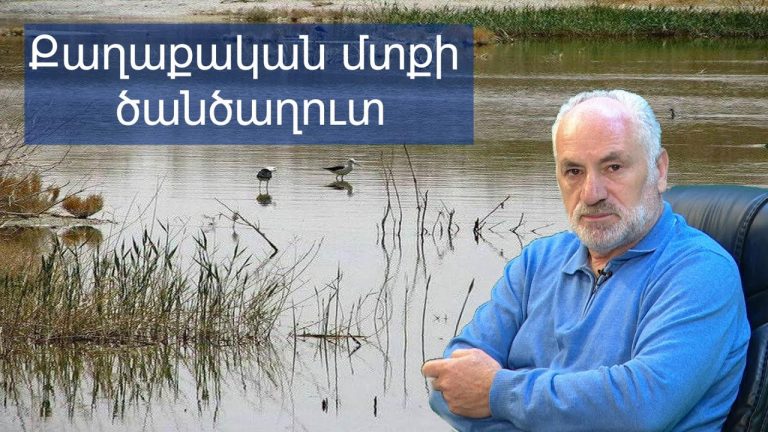 Հայաստանը վիլայեթի ճանապարհով գաղութացման է ենթարկվում․ Արմեն Մանվելյանի վերլուծությունը