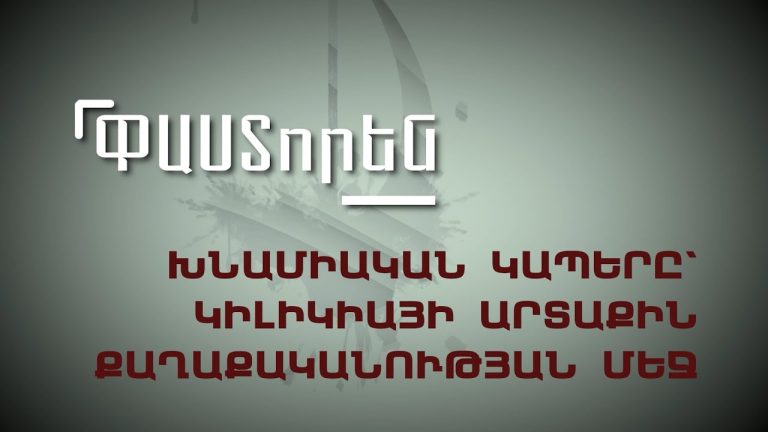 Քաղաքացիական պայմանագիր խմբակցության պատգամավոր Տաթևիկ Գասպարյանի տեսակետները ներքաղաքական և արտաքին քաղաքականության առանցքային հարցերով