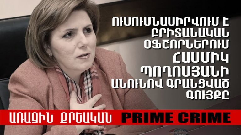 Հասմիկ Պողոսյանը դատապարտվել է ազատազրկման, սակայն դատավճիռը կիրառվել է համաներումի շնորհիվ